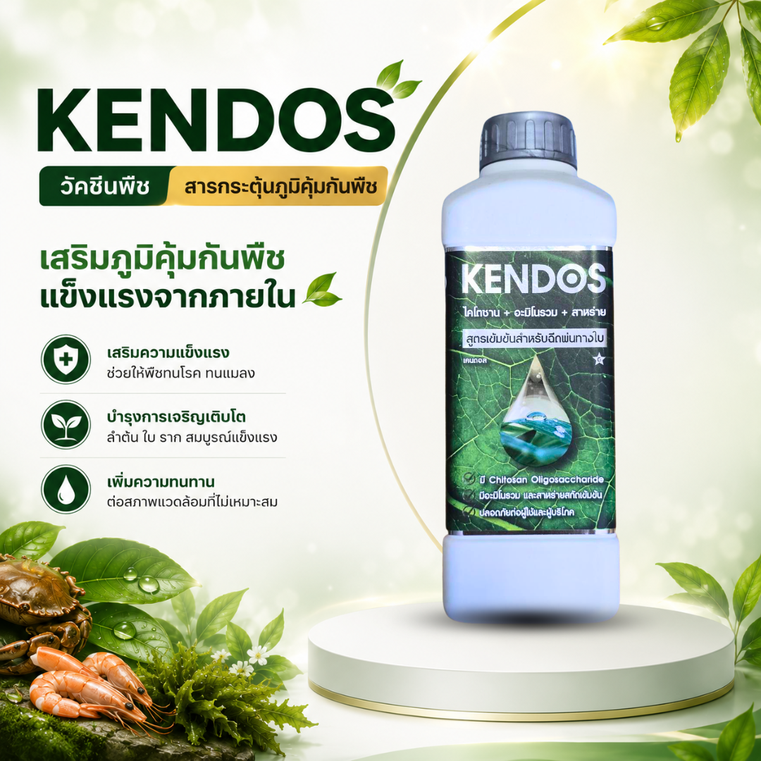 kendos วัคซีนพืช สร้างภูมิต้านทานพืช ทนโรค ทนแล้ง สกัดจากธรรมชาติ kendos วัคซีนพืช สร้างภูมิต้านทานพืช ทนโรค ทนแล้ง สกัดจากธรรมชาติ