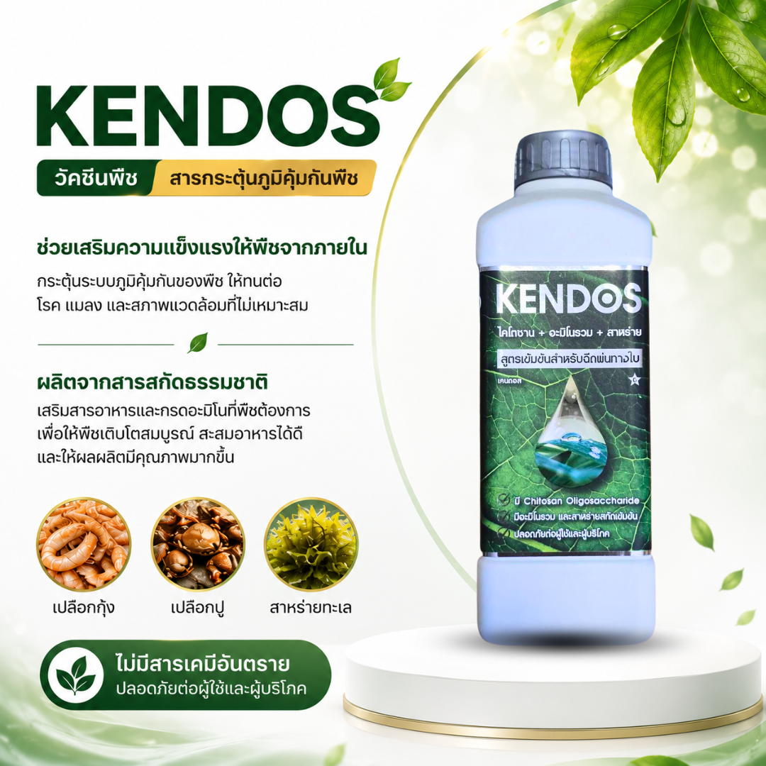 kendos วัคซีนพืช สร้างภูมิต้านทานพืช ทนโรค ทนแล้ง สกัดจากธรรมชาติ kendos วัคซีนพืช สร้างภูมิต้านทานพืช ทนโรค ทนแล้ง สกัดจากธรรมชาติ