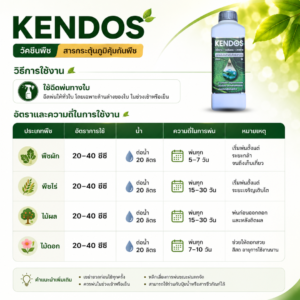 KENDOS วัคซีนพืช สร้างภูมิต้านทานพืช ทนโรค ทนแล้ง สกัดจากธรรมชาติ kendos วัคซีนพืช สร้างภูมิต้านทานพืช ทนโรค ทนแล้ง สกัดจากธรรมชาติ