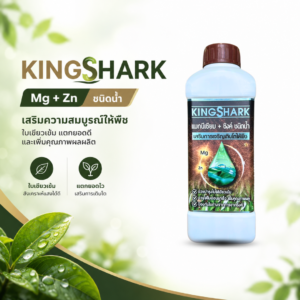 kingshark แมกนีเซียม + สังกะสี ชนิดน้ำ (mg + zn) บำรุงใบเขียว แตกยอดไว เสริมคลอโรฟิลล์