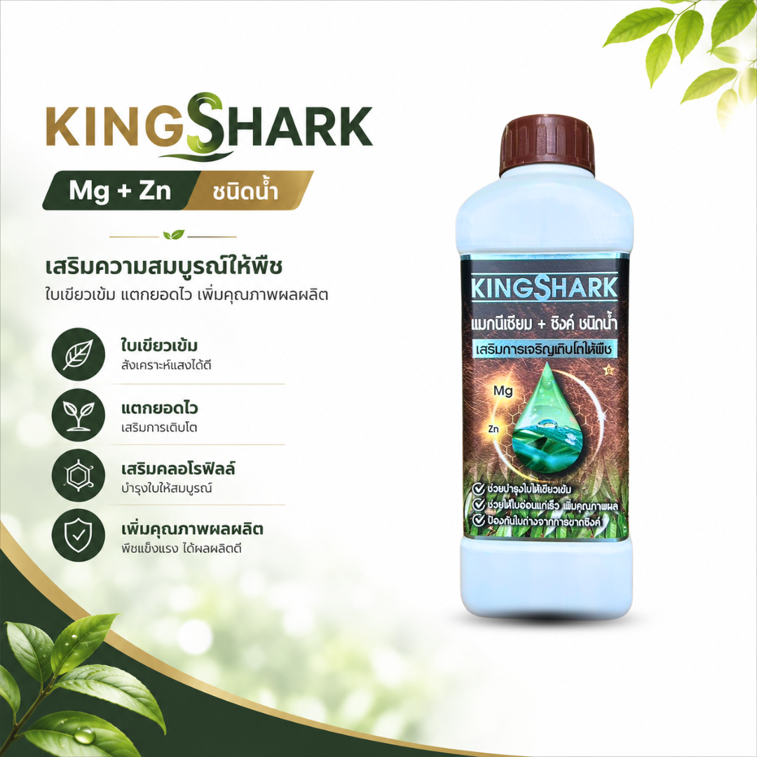 kingshark แมกนีเซียม + สังกะสี ชนิดน้ำ (mg + zn) บำรุงใบเขียว แตกยอดไว เสริมคลอโรฟิลล์ kingshark แมกนีเซียม + สังกะสี ชนิดน้ำ (mg + zn) บำรุงใบเขียว แตกยอดไว เสริมคลอโรฟิลล์