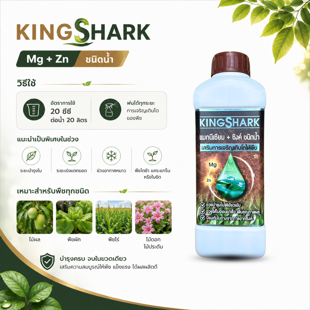 kingshark แมกนีเซียม + สังกะสี ชนิดน้ำ (mg + zn) บำรุงใบเขียว แตกยอดไว เสริมคลอโรฟิลล์ kingshark แมกนีเซียม + สังกะสี ชนิดน้ำ (mg + zn) บำรุงใบเขียว แตกยอดไว เสริมคลอโรฟิลล์