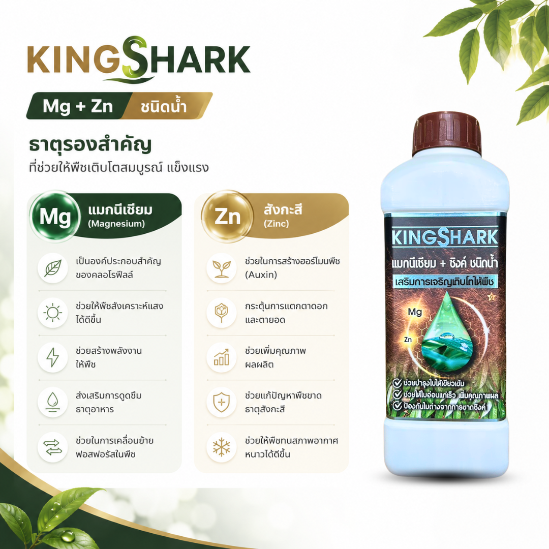 kingshark แมกนีเซียม + สังกะสี ชนิดน้ำ (mg + zn) บำรุงใบเขียว แตกยอดไว เสริมคลอโรฟิลล์ kingshark แมกนีเซียม + สังกะสี ชนิดน้ำ (mg + zn) บำรุงใบเขียว แตกยอดไว เสริมคลอโรฟิลล์