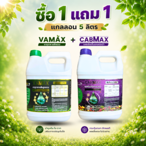 ซื้อ 1 แถม 1 vamax + cabmax แกลลอน 5 ลิตร ธาตุอาหารพืชและแคลเซียมโบรอน