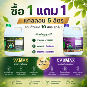 ซื้อ 1 แถม 1 vamax + cabmax แกลลอน 5 ลิตร ธาตุอาหารพืชและแคลเซียมโบรอน