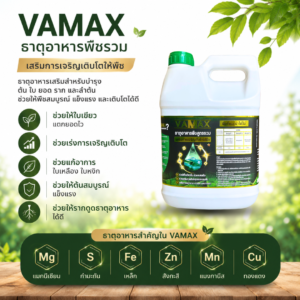 ซื้อ 1 แถม 1 vamax + cabmax แกลลอน 5 ลิตร ธาตุอาหารพืชและแคลเซียมโบรอน