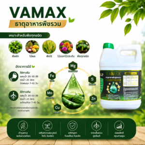 ซื้อ 1 แถม 1 vamax + cabmax แกลลอน 5 ลิตร ธาตุอาหารพืชและแคลเซียมโบรอน