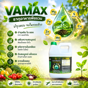 ซื้อ 1 แถม 1 vamax + cabmax แกลลอน 5 ลิตร ธาตุอาหารพืชและแคลเซียมโบรอน