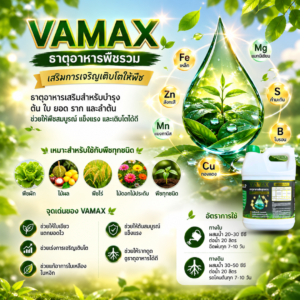 ซื้อ 1 แถม 1 vamax + cabmax แกลลอน 5 ลิตร ธาตุอาหารพืชและแคลเซียมโบรอน