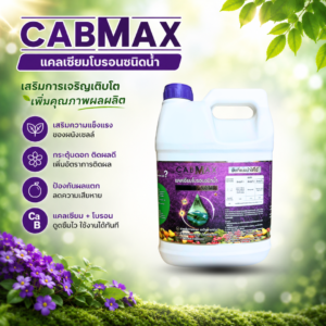 ซื้อ 1 แถม 1 vamax + cabmax แกลลอน 5 ลิตร ธาตุอาหารพืชและแคลเซียมโบรอน