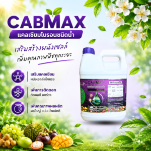 ซื้อ 1 แถม 1 vamax + cabmax แกลลอน 5 ลิตร ธาตุอาหารพืชและแคลเซียมโบรอน
