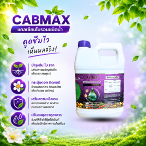 ซื้อ 1 แถม 1 vamax + cabmax แกลลอน 5 ลิตร ธาตุอาหารพืชและแคลเซียมโบรอน