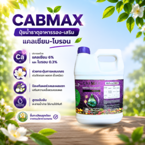 ซื้อ 1 แถม 1 vamax + cabmax แกลลอน 5 ลิตร ธาตุอาหารพืชและแคลเซียมโบรอน