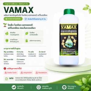 VAMAX + CABMAX โปร 1 ลิตร แถม 1 ลิตร ธาตุอาหารพืช + แคลเซียมโบรอน ชนิดน้ำ โปรคู่ vamax / cabmax 1 ลิตรแถม 1 ลิตร (เลือกสูตรได้)