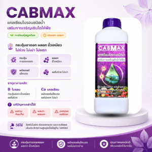VAMAX + CABMAX โปร 1 ลิตร แถม 1 ลิตร ธาตุอาหารพืช + แคลเซียมโบรอน ชนิดน้ำ โปรคู่ vamax / cabmax 1 ลิตรแถม 1 ลิตร (เลือกสูตรได้)