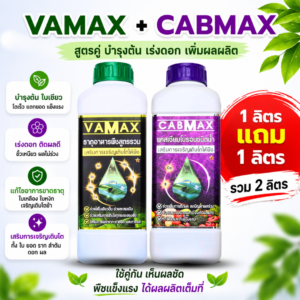 โปรคู่ vamax / cabmax 1 ลิตรแถม 1 ลิตร (เลือกสูตรได้)