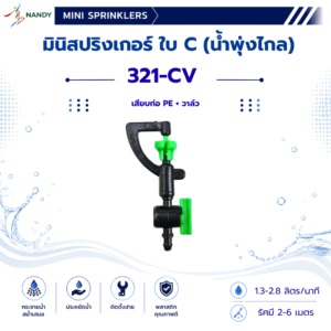 321-CV