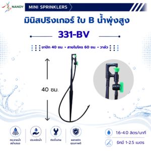 331-BV
