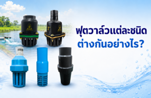 ฟตุวาล์วแต่ละชนิดต่างกันอย่างไร